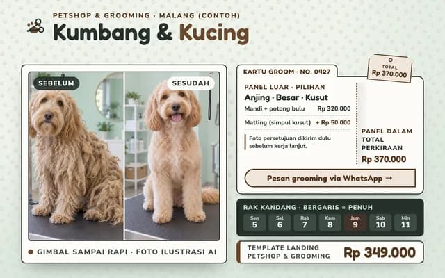 Petshop Kumbang & Kucing — Sampul